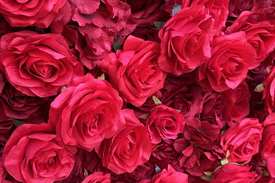 Scarlet Romance