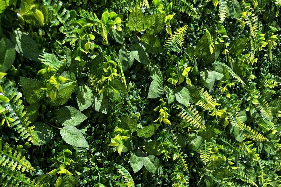 Emerald Garden