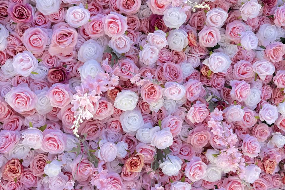 Rose Quartz
