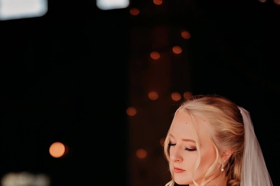 Winter Bride
