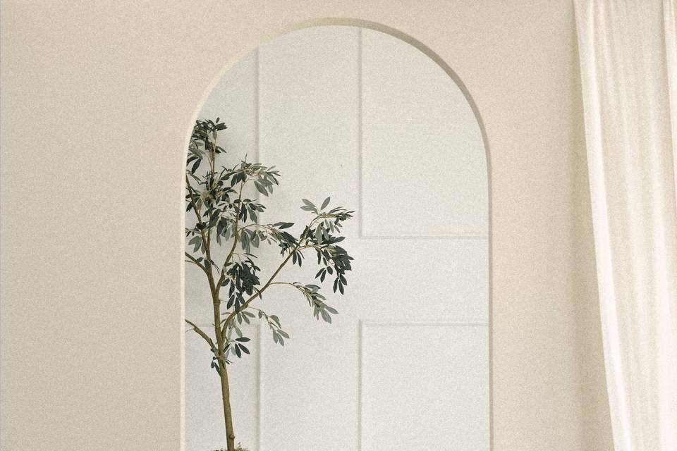 Von Creative Co-Studio