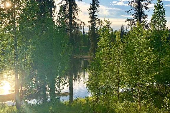 Gate Creek Lodge Alaska