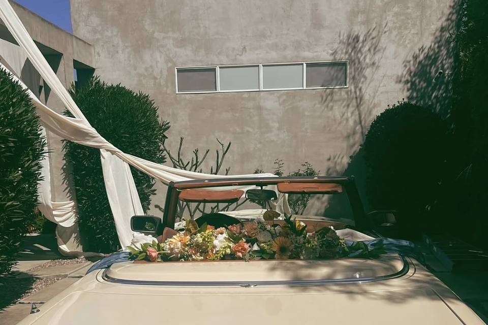 Form & Flora