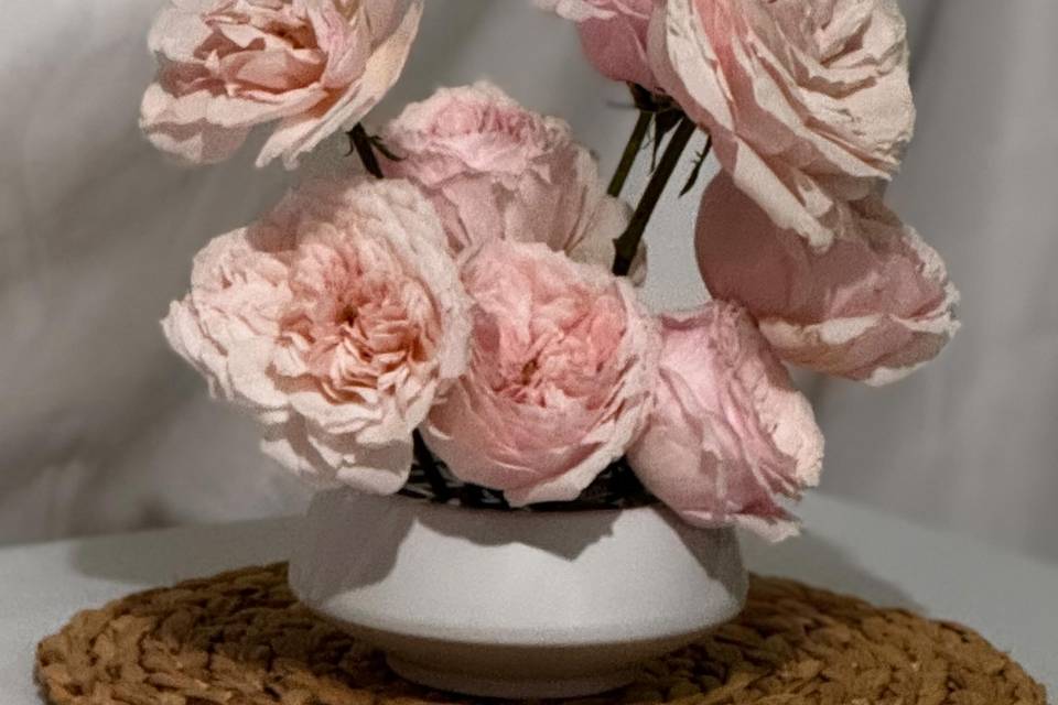 Form & Flora