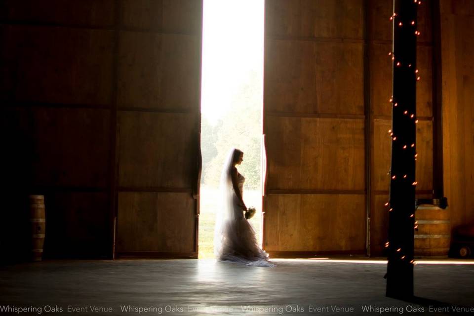 April Larson Photography