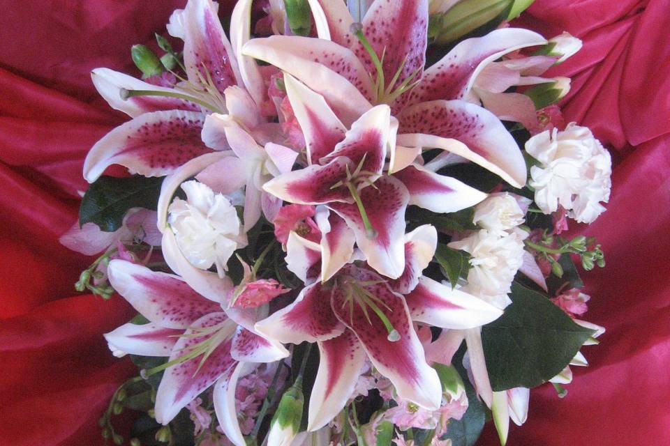 Stargazer Bouquet