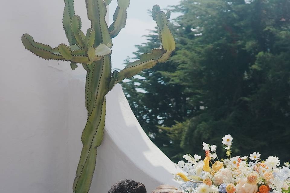 Taylor & Daniel