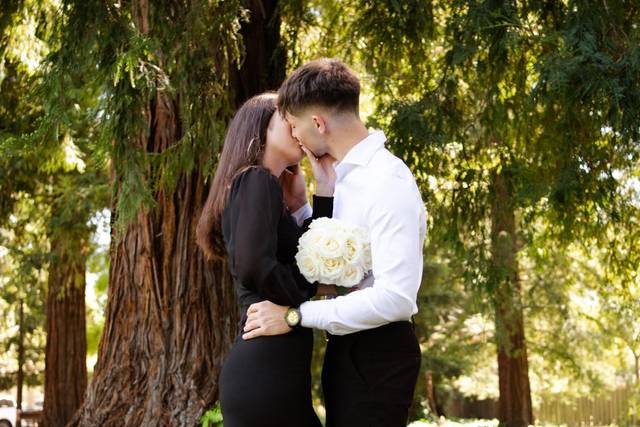 Elopement in the redwoods