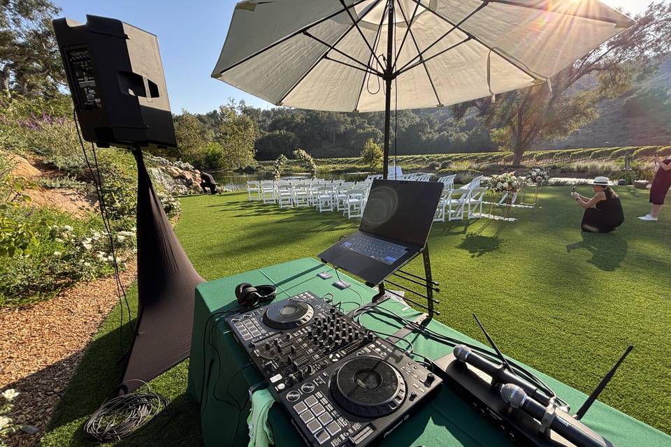 DJ Springz