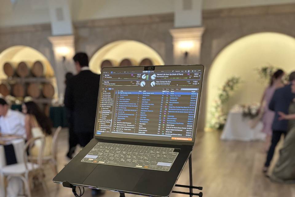 DJ Springz
