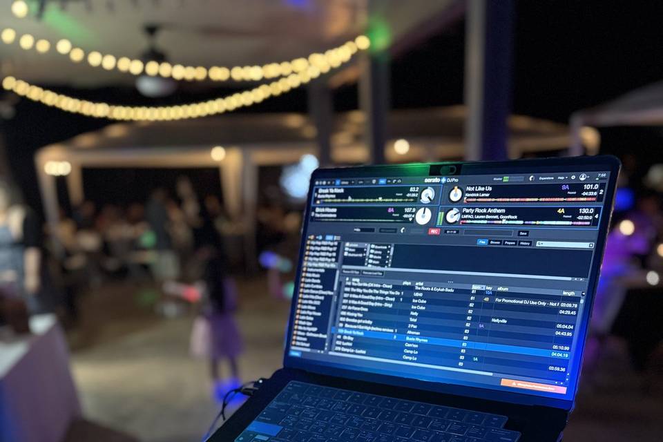 DJ Springz