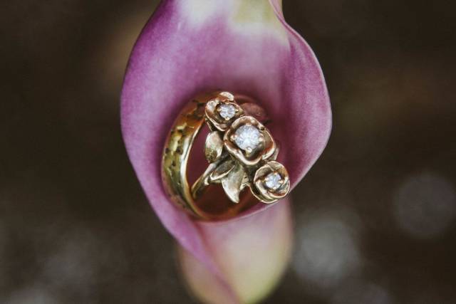 Renee J North Photography