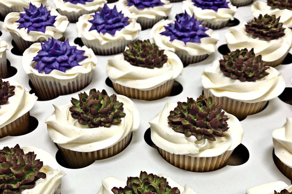 Cupcake with edible succulents