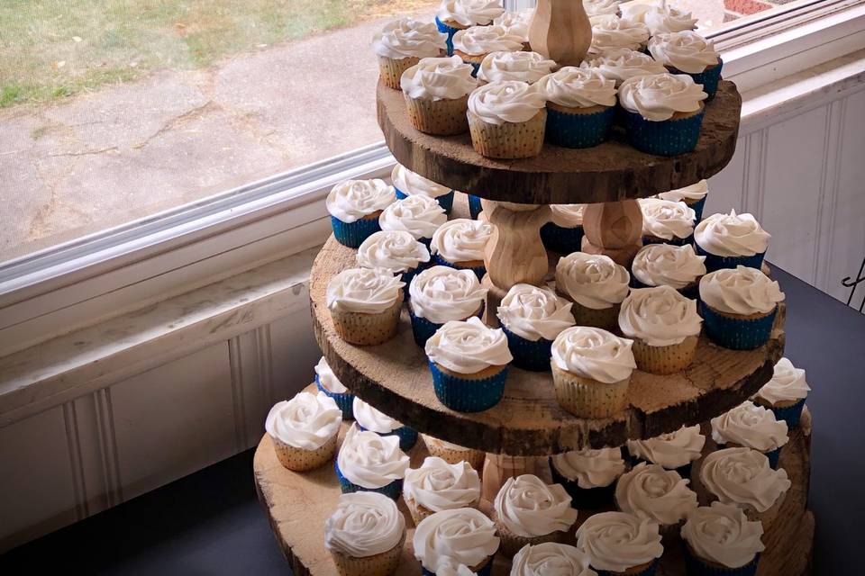 2-Tier cake and cupcakes