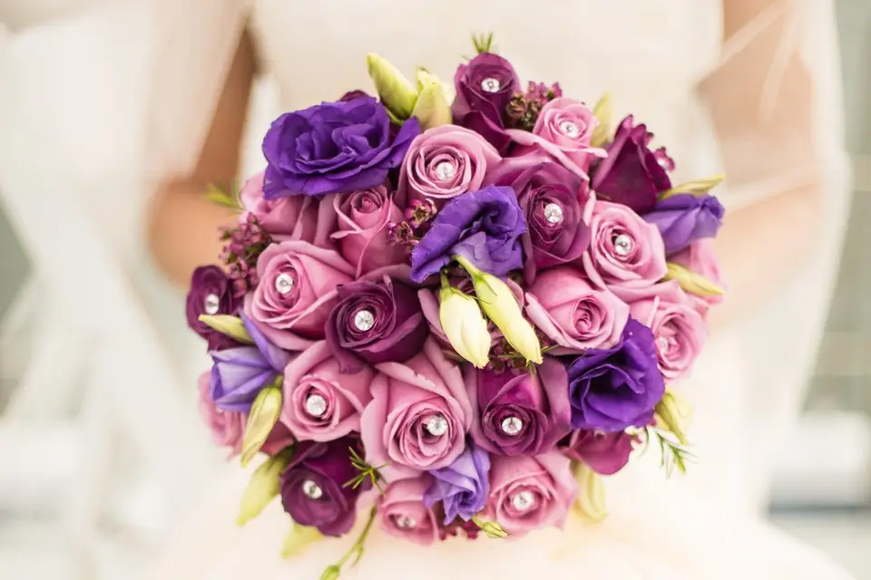 purple speedy wedding videos｜TikTok Search