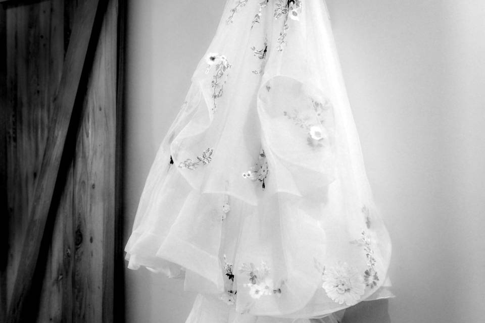 The Dress