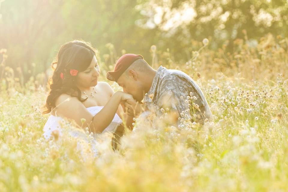 In the meadow