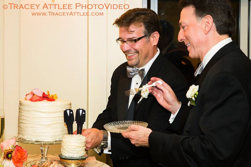 DC Gay Wedding, Cake Cutting