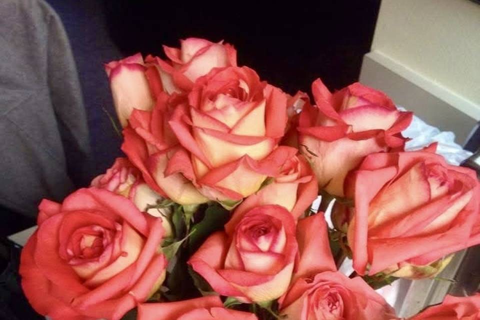 Pink_edge_roses_WeddingPro_3600px.jpg