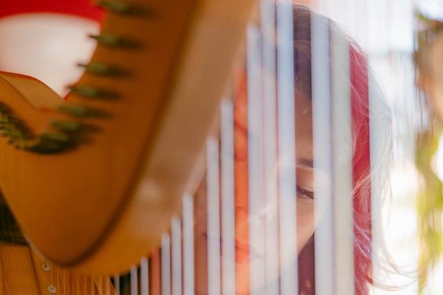 Harpist