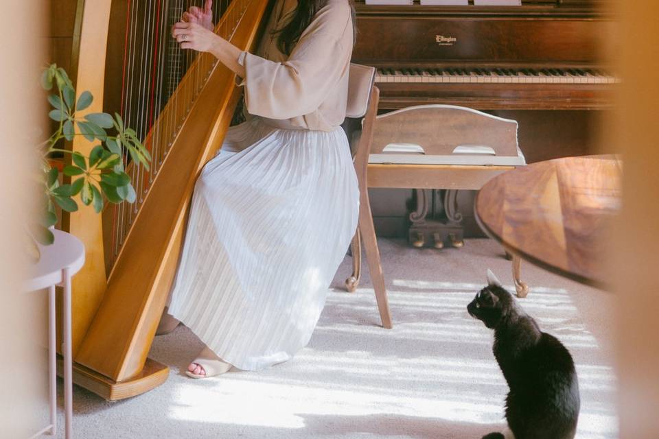Harpist