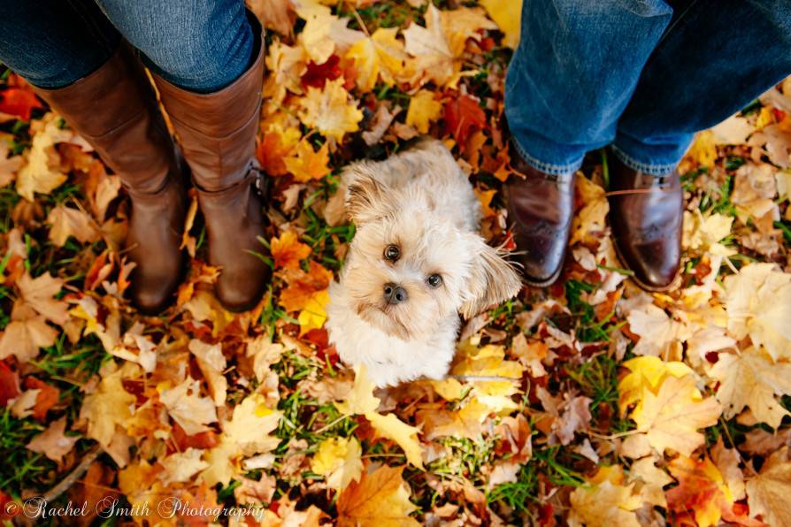 Fall Engagement Session