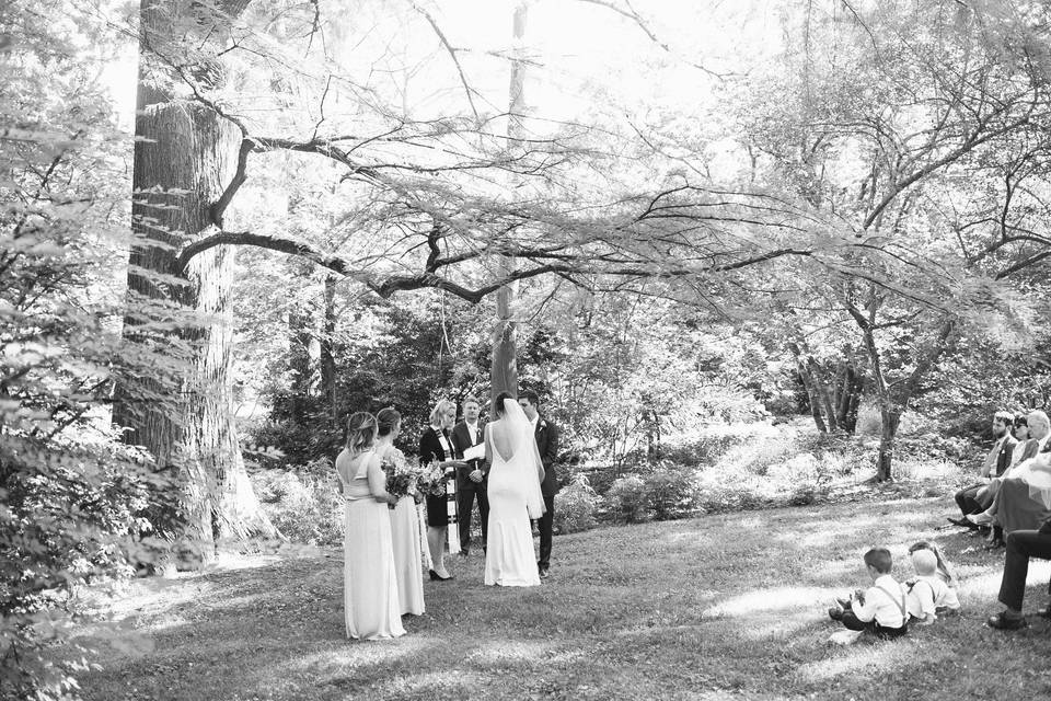 Ceremony | Coker Arboretum