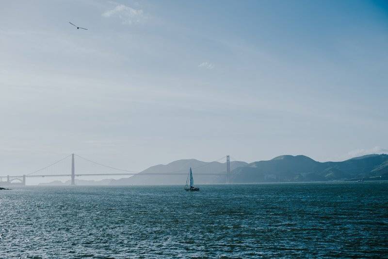 Looking out over the bay