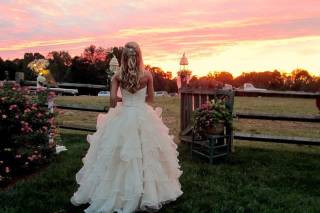 Whippoorwill-Hill Weddings