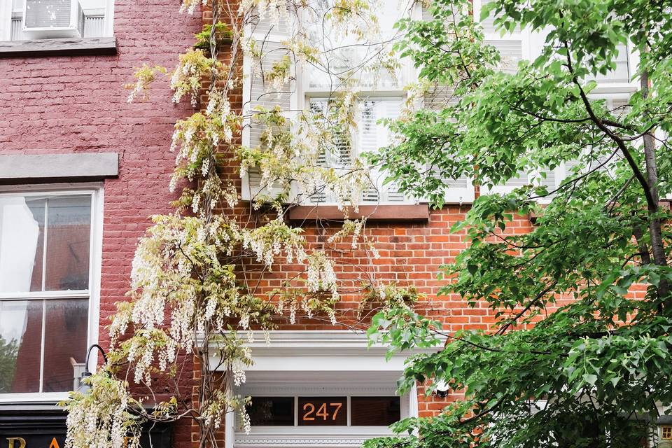 NYC BROWNSTONE STOOP
