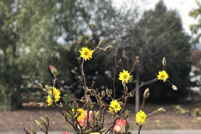 Blooming alter arrangement