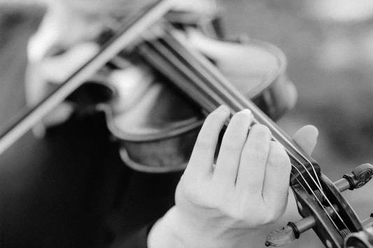 Violin