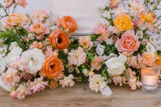 Citrus Colors