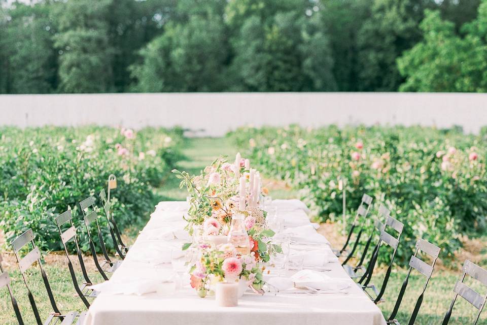 Heartsaflutter_July2018-271.jpg