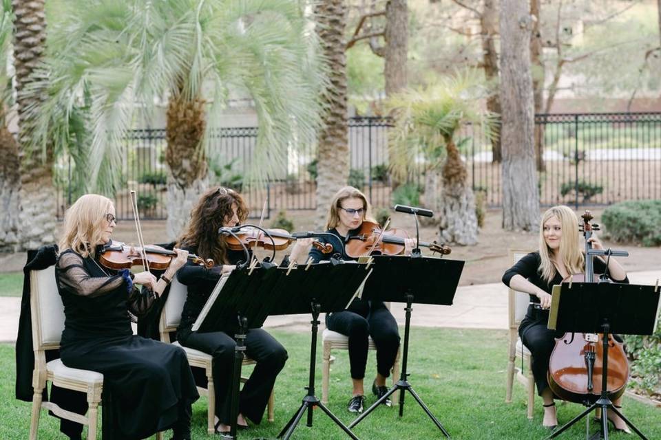 String Quartet