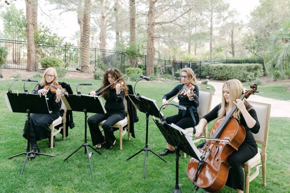 String Quartet