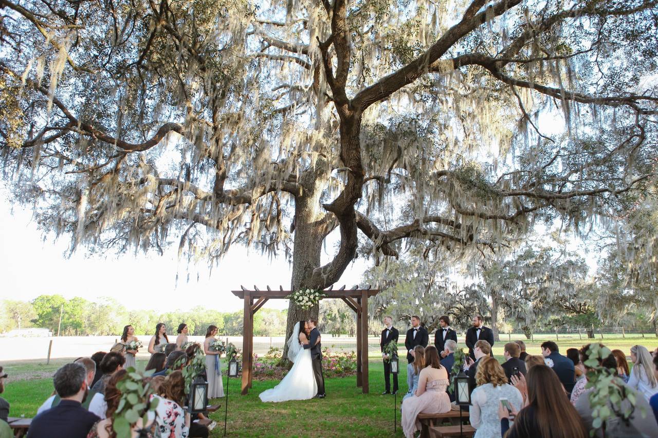 The 10 Best Wedding Venues in Tallahassee - WeddingWire