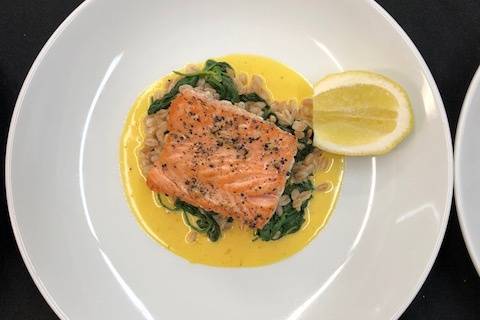 Salmon