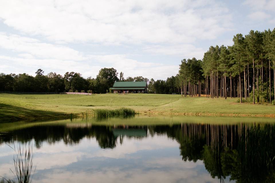 View from the pond