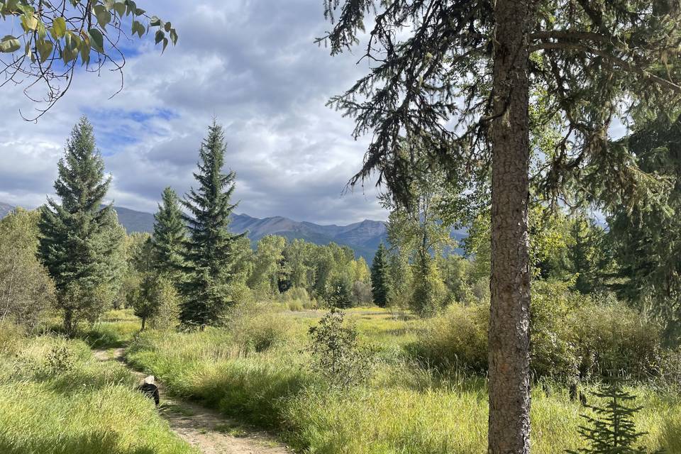 Trail to ceremony area