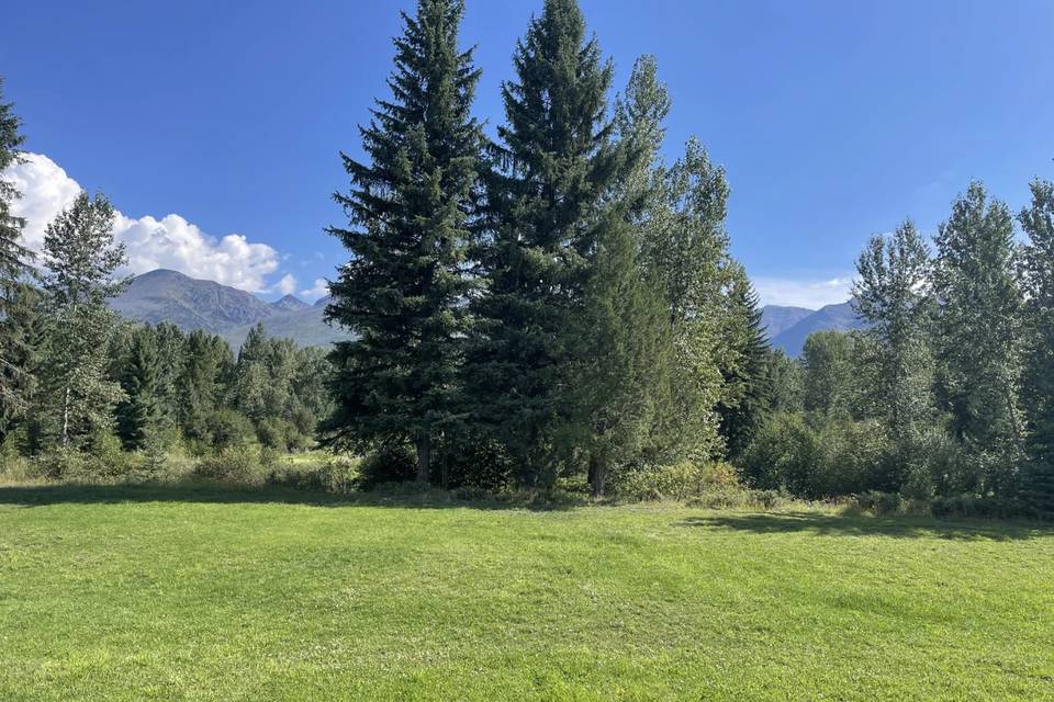 Meadow for tents, tables