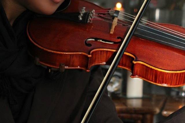 Solo Violinist