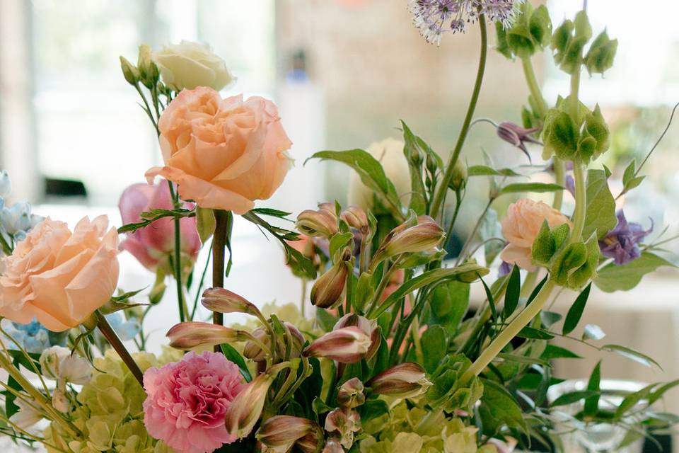 The Packing House