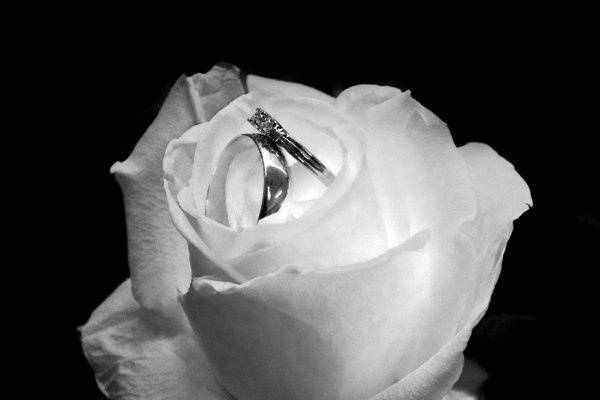 Elizabeth Thompson Photography