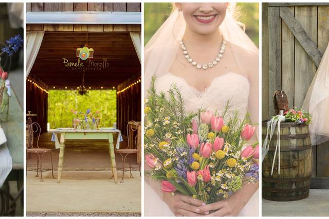Pamela Morello Photography