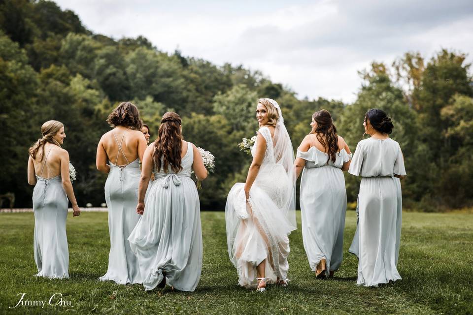 Wedding party in dresses