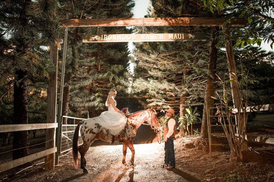 Maui Horse Ranch Wedding