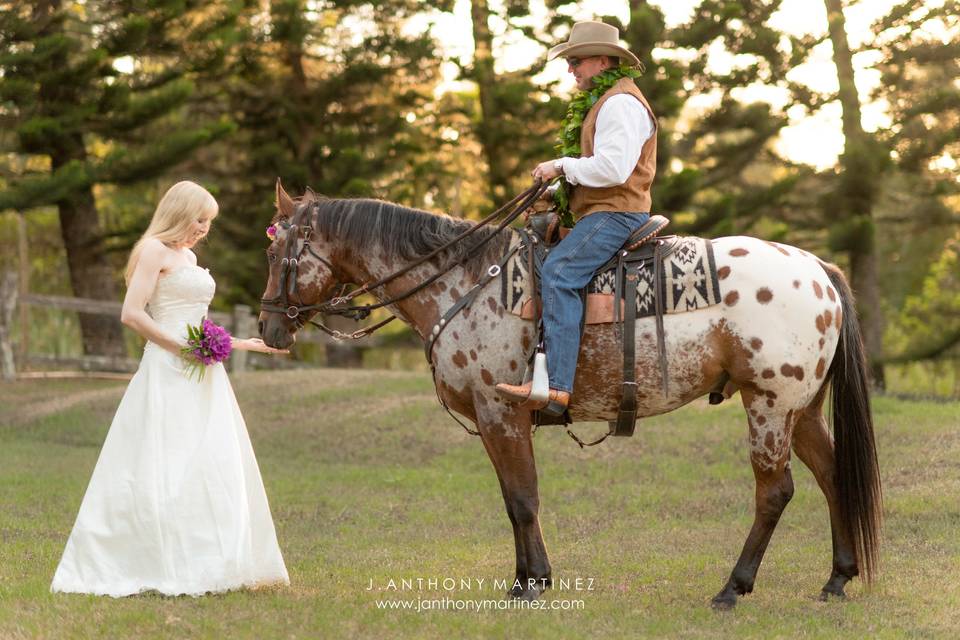 Maui Horse Ranch Wedding