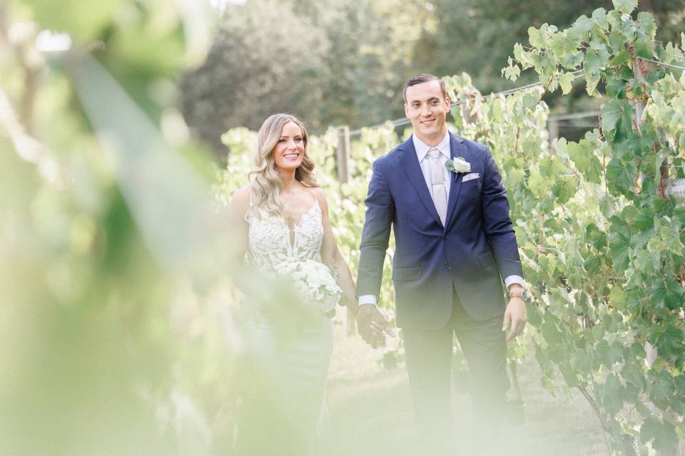 September Vineyard