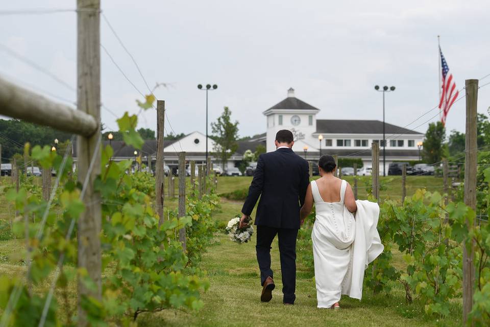 Derry Vineyards